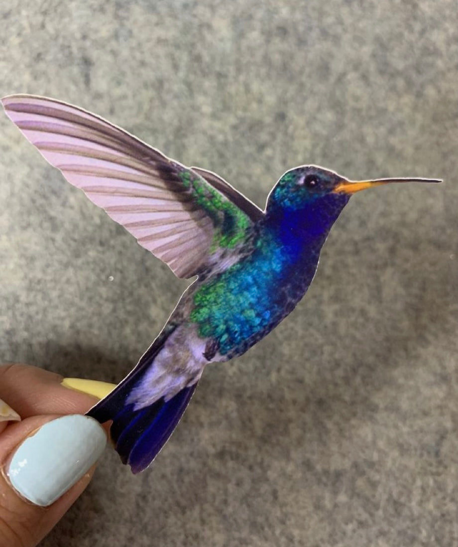 Colorful Hummingbird - Waterproof Sticker
