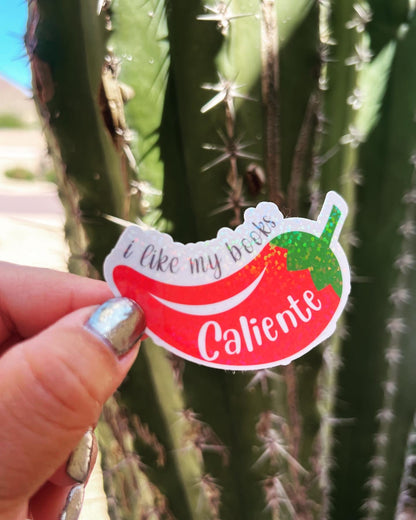 I Like My Books Caliente, Fuego, Spicy - Waterproof PRINTED Stickers