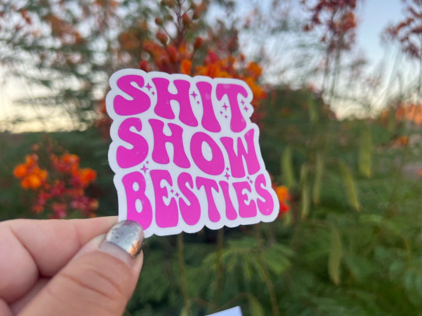 Hot Pink Shit Show Besties Waterproof Stickers